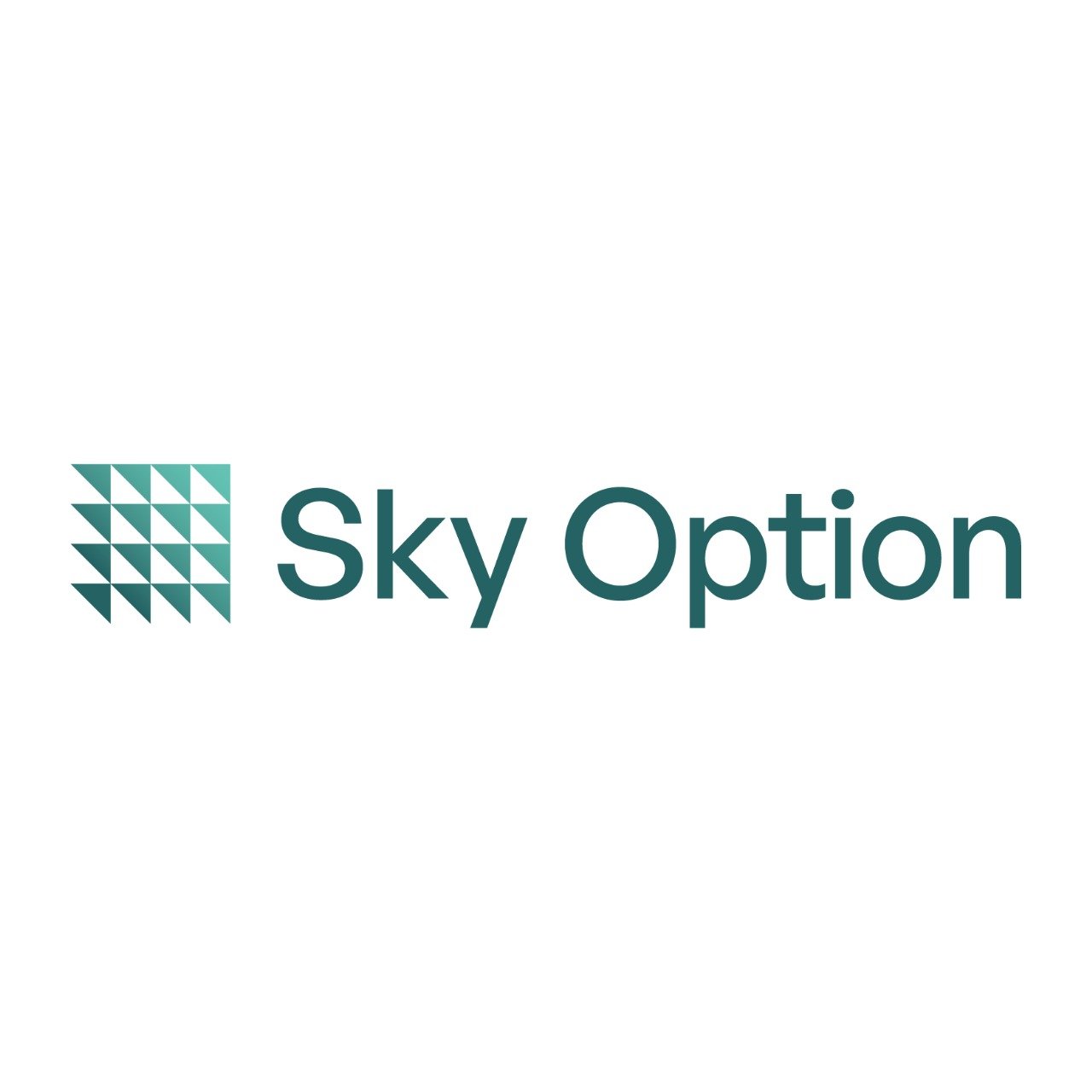 sky option